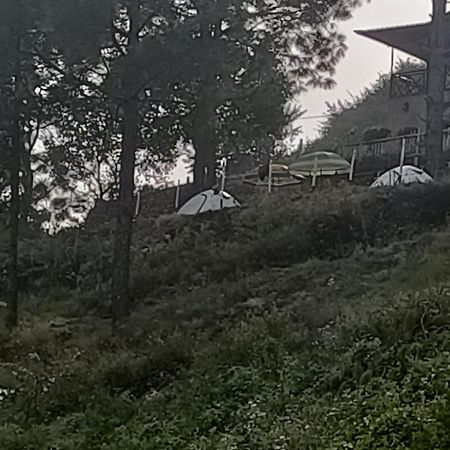 Nainital Adventure Park & Resort Eksteriør billede
