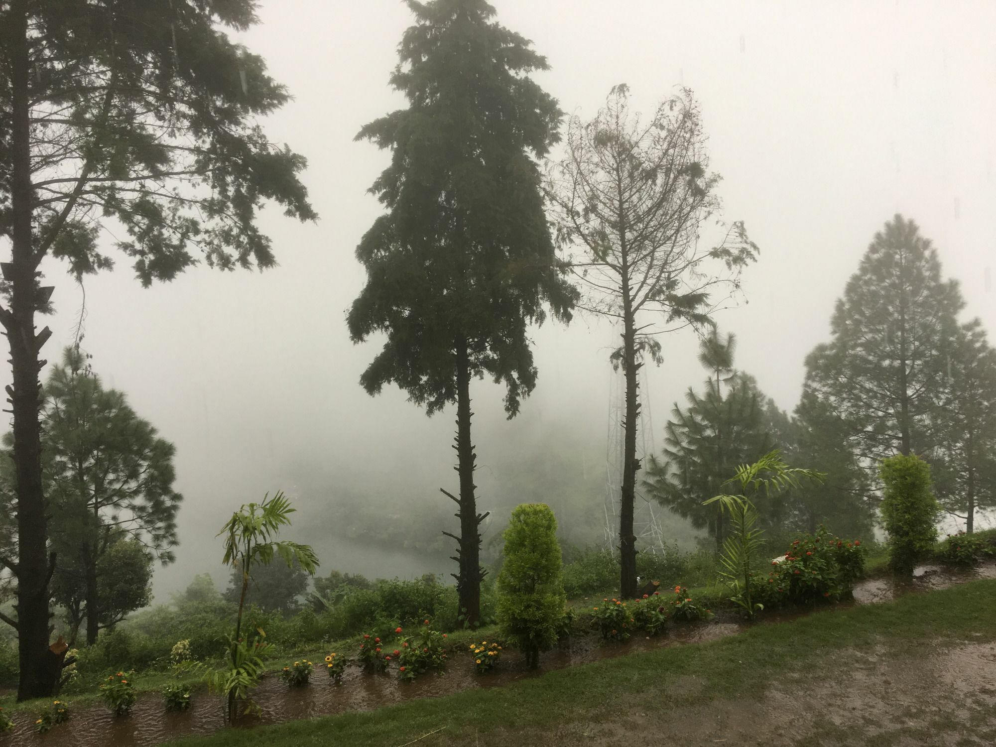 Nainital Adventure Park & Resort Eksteriør billede